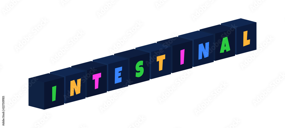Intestinal - multi-colored text written on isolated 3d boxes on white background Intestinal - multi-colored text written on isolated 3d boxes on white background