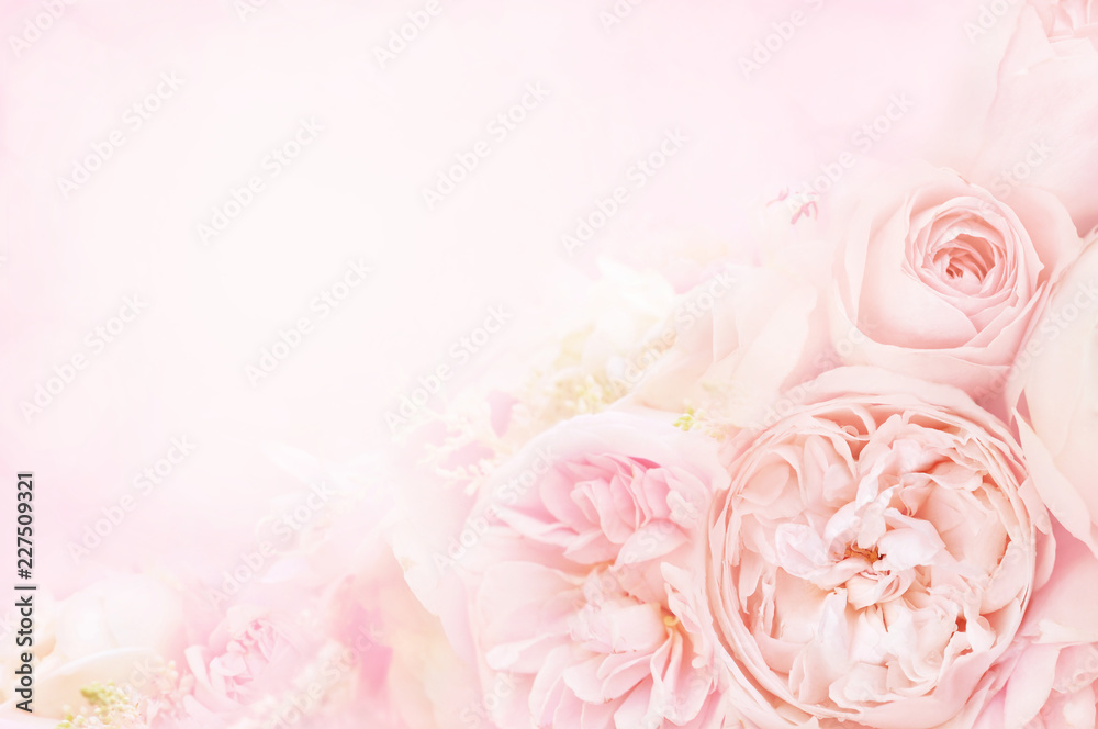 Naklejka premium Summer blossoming delicate rose on blooming flowers festive background, pastel and soft bouquet floral card