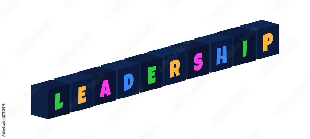 Leadership - multi-colored text written on isolated 3d boxes on white background Leadership - multi-colored text written on isolated 3d boxes on white background