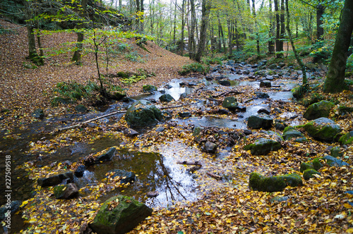 Fototapeta Naklejka Na Ścianę i Meble -  Stream flowing through the stone rocks in autumn. Natural background.