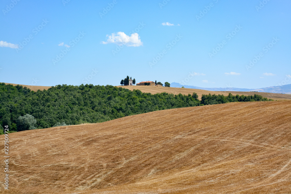 Yellow wheat fields of Tuscany, Italy, after harvest