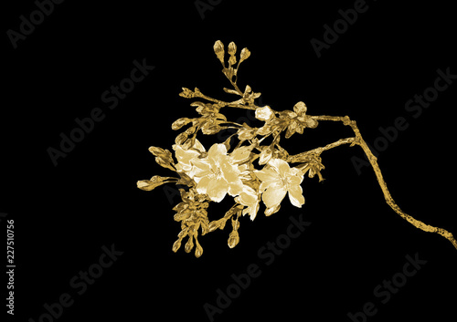 Gold flower on a black background .