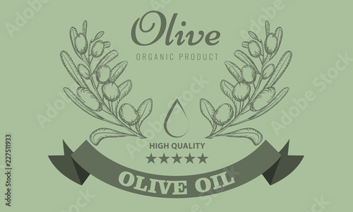 Olive oil package design for label with vintage sketch style. Vector Illustration.