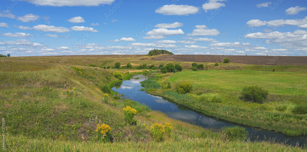 Sunny summer landscape with river curve and growing on the riverbank yellow blooming flowers of solidago virgaurea(european goldenrod or woundwort).Beautiful view of fields,meadows,pastures and woods
