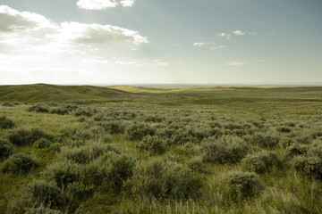 Canvas schilderij Wit Scenic view of grassy field  © Cavan for Adobe
