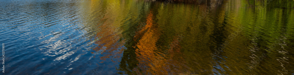Colorful tree leaves in the fall reflected in a lake