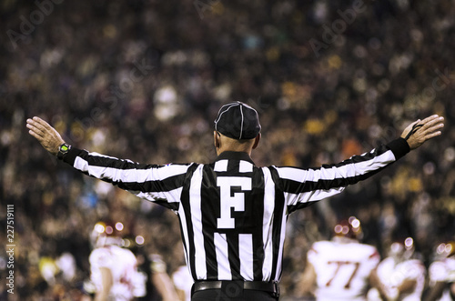 Photos Rear view of referee with arms outstretched in stadium