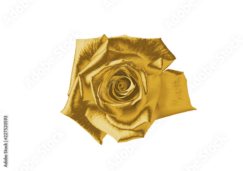 Gold flower on a white background 