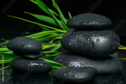 black massage stones and plants 