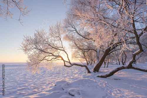 Amazing winter landscape in morning. Christmas nature background