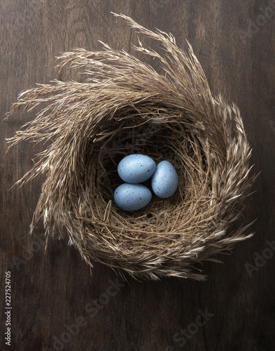 Tablou pe pânză Blue eggs in nest on table