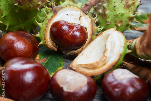 Ripe chestnuts on the wooden table. Autumn decorations. Autumn concept.