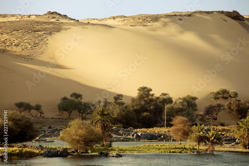 Slika na platnu Scenic view of Nile river against sand dune, Aswan, Egypt