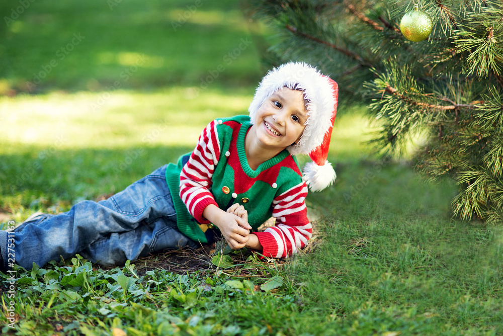 Little boy in sweater and hat waiting for a Christmas in the wood Little boy in sweater and hat waiting for a Christmas in the wood