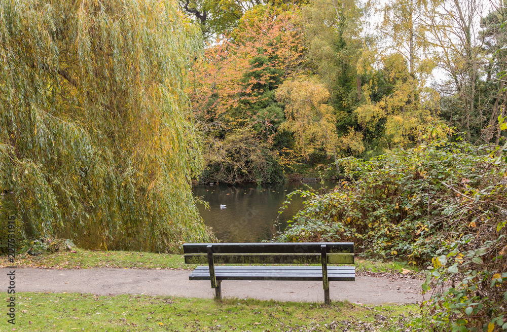 Place to enjoy the autumn season Place to enjoy the autumn season