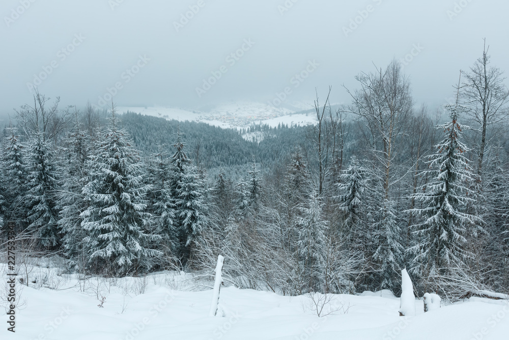 Fototapeta premium Early morning winter mountain landscape