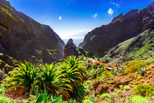Masca, Tenerife, Spain, Canary Islands: Small mountain village Masca on the island of Tenerife in Canary Islands, the Macizo de Teno mountains photo