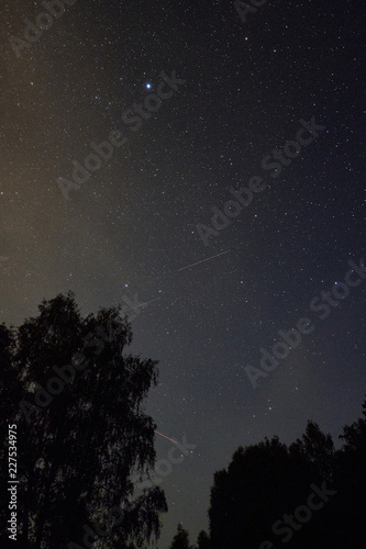 Starry sky in the forest