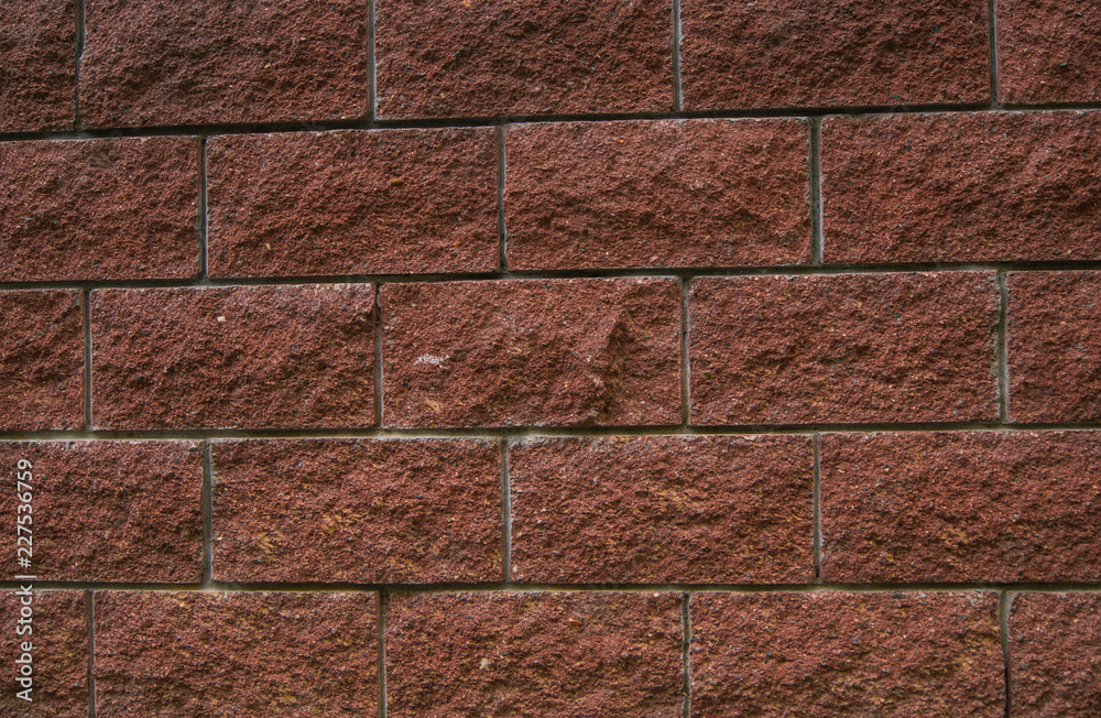 Obraz premium SONY DSC