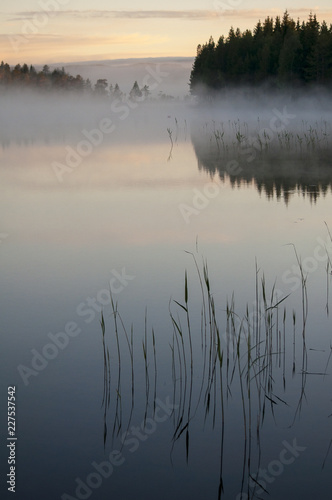 The lake; A midsummer night at