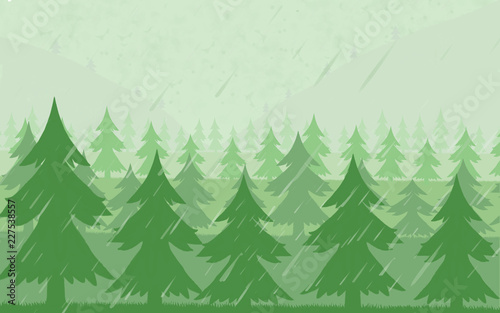  This illustration shows a fir forest with fog and rain.