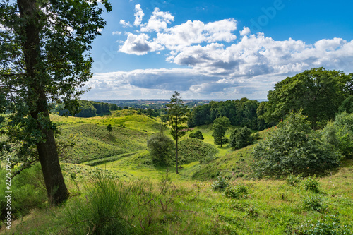 Scenery with green hills, trees and blue sky with clouds in Svanninge Bakker, Denmark