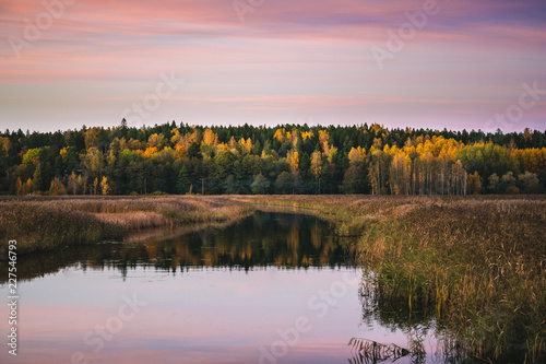 Fall colours