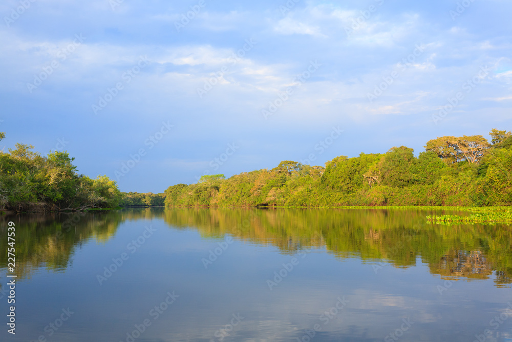 Panorama from Pantanal, Brazilian wetland region. Panorama from Pantanal, Brazilian wetland region.