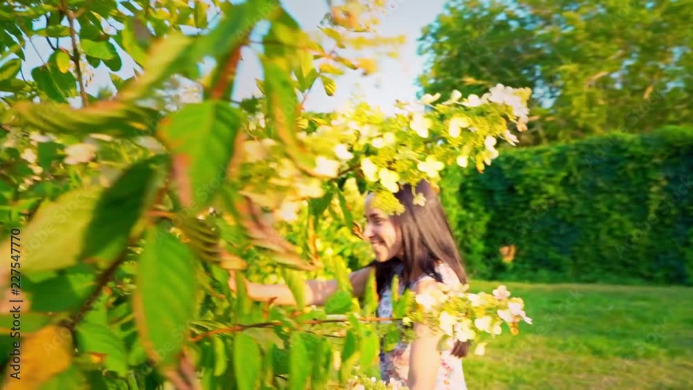 Young woman playfully runs around a green tree in the garden. Portrait of a smiling brunette with dimpled cheeks against a green park. Beautiful young woman looks at camera. Pretty girl in summer Young woman playfully runs around a green tree in the garden. Portrait of a smiling brunette with dimpled cheeks against a green park. Beautiful young woman looks at camera. Pretty girl in summer