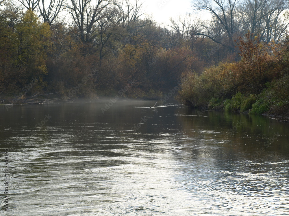 Fototapeta premium OLYMPUS DIGITAL CAMERA