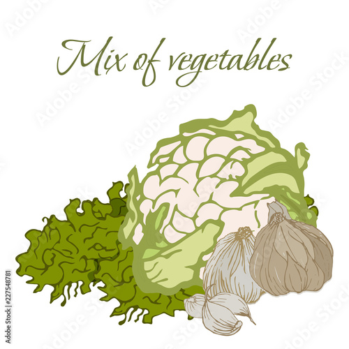 Illustration of Tasty Veggies. Vector of mix of vegetables isolated on a White Background