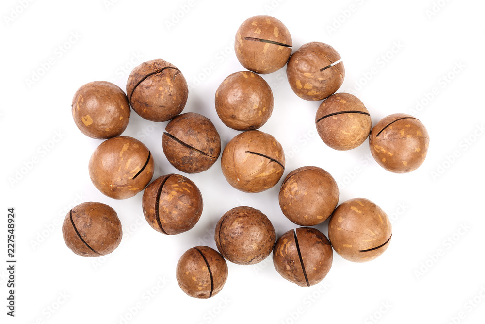 unshelled macadamia nuts isolated on white background. Top view. Flat lay pattern unshelled macadamia nuts isolated on white background. Top view. Flat lay pattern