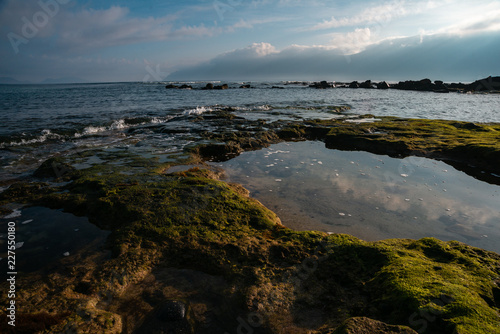 morning on the ocean at low tide, green stones and smooth pools, reflecting the sky