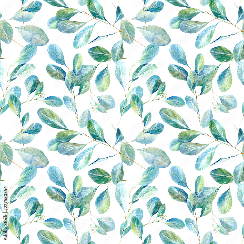 Floral seamless pattern.Eucalyptus branches.Image for fabric, paper and other printing and web projects.Watercolor hand drawn illustration.White background.
