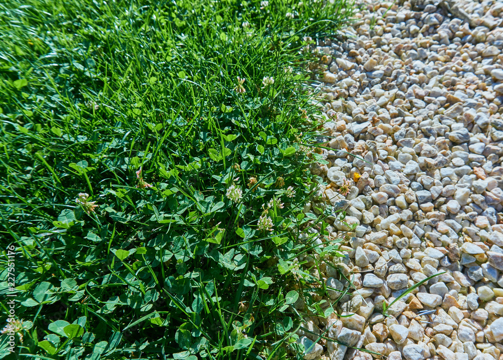Grass and pebbles Grass and pebbles