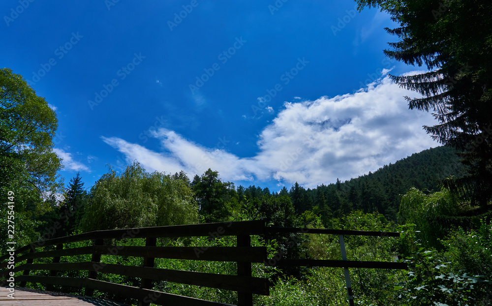 Nature background Nature background