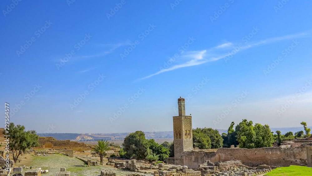 Remains of Roman city of Chellah necropolis. Rabat. Morocco.