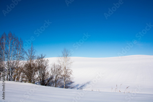冬晴れの青空と雪の丘