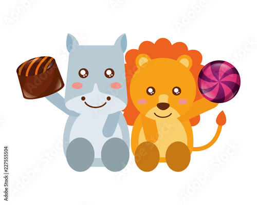 cute lion and hippo chocolate sweet candies