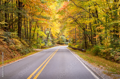 Autumn Drive On Windy Mountain Roads