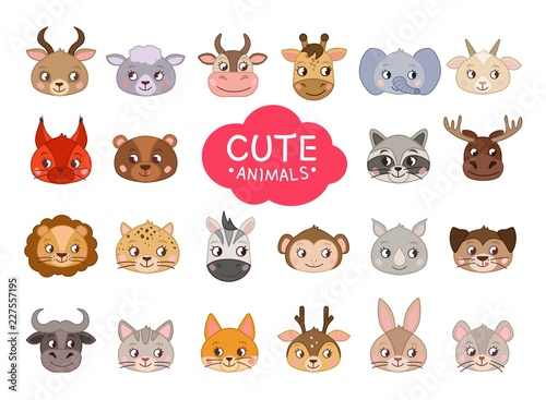 Set of vector cartoon cute animals. Vector illustration. . A collection of head animals in the children's style. 