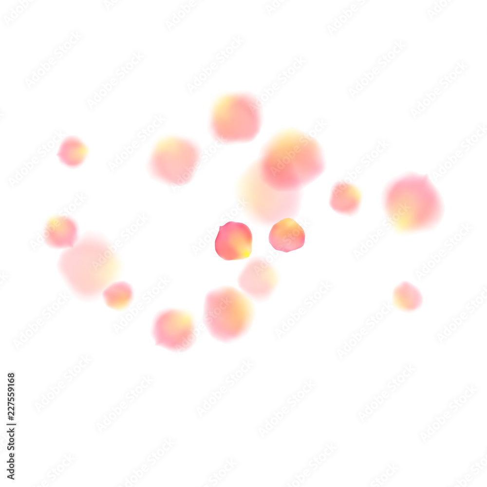 Rose gold petals flying cosmetics vector background.