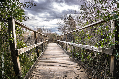 Boardwalk 