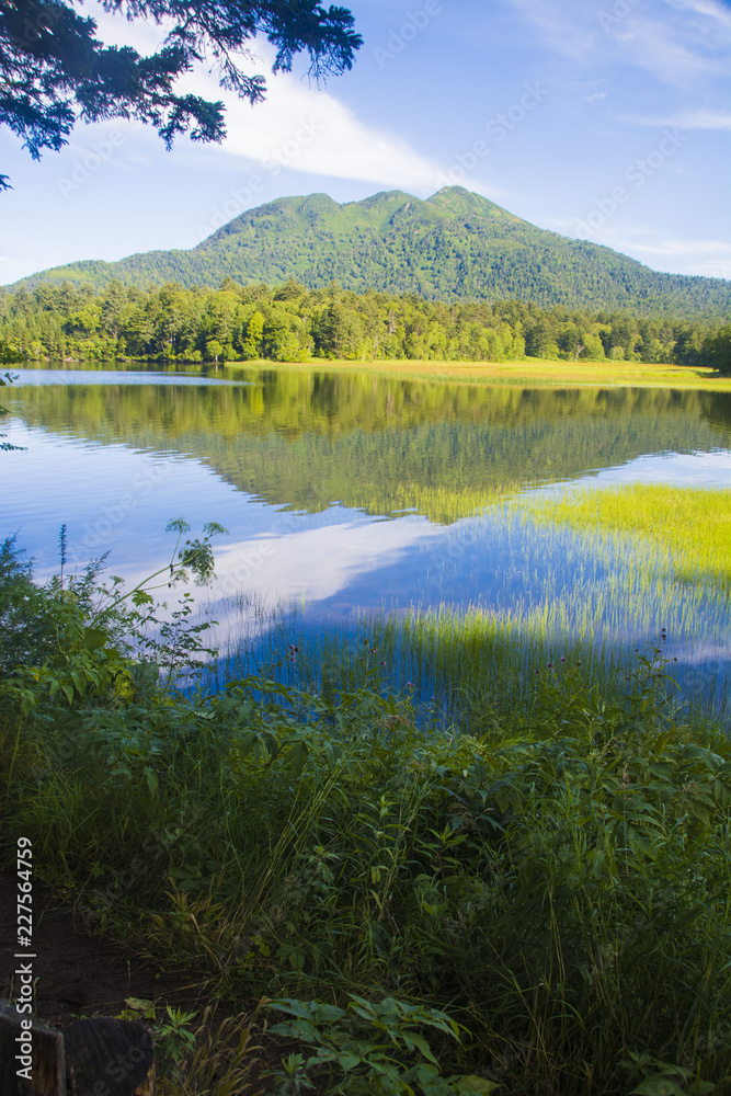 Beautiful view of Mt. Hiuchi and Oze pond, Oze National Park, Gunma, Japan, summer time