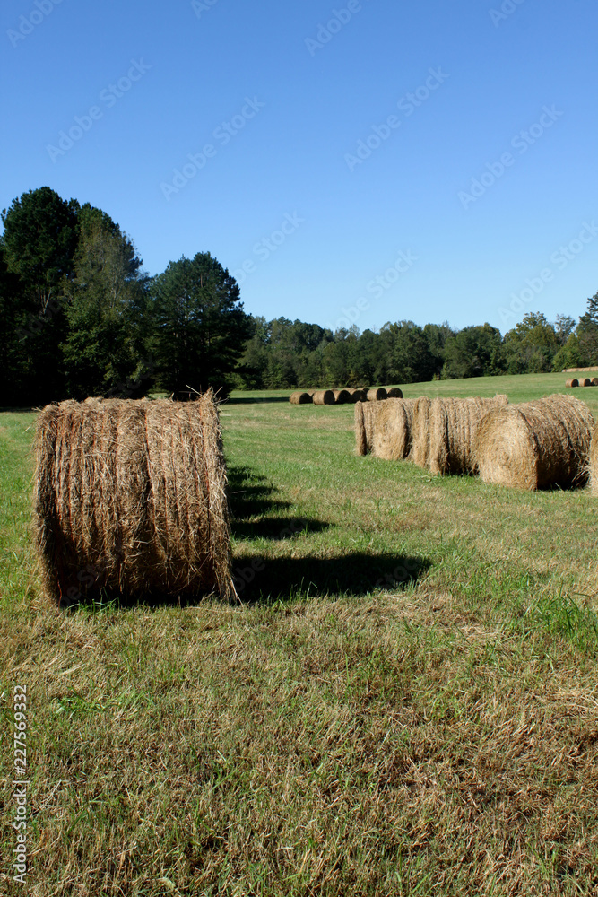 Round bales