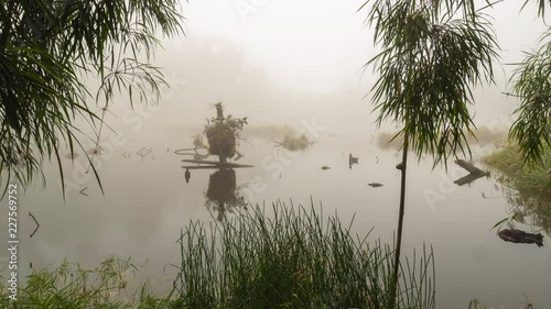 A volcanic crater lake, Laguna Wawa Sumaco in misty cloudforest at 2,500m elevation on  Sumaco Volcano in the Ecuadorian Amazon.
