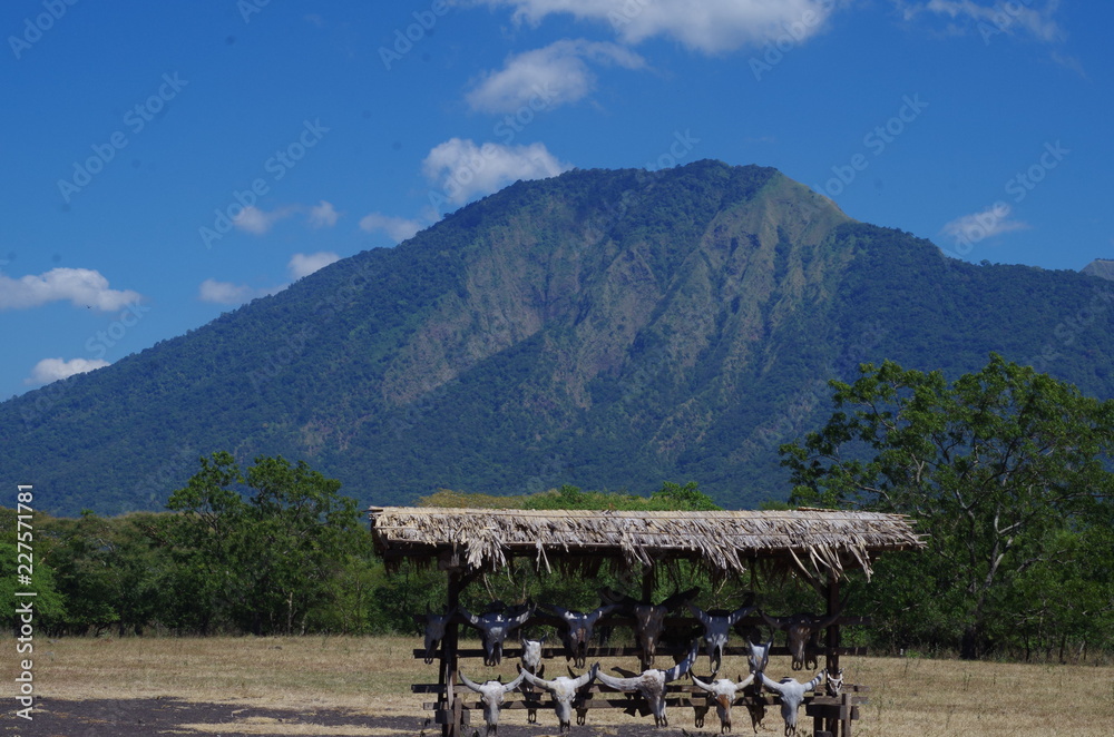 the mountain of baluran national park the mountain of baluran national park