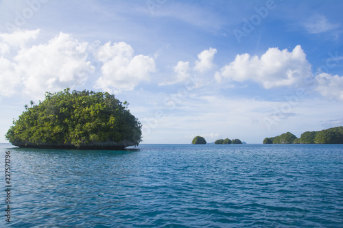 Rock island, lagoon view, Palau, Pacific
