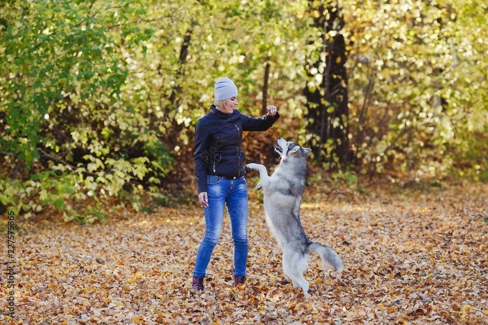 Beautiful caucasian girl plays with husky dog in autumn forest Beautiful caucasian girl plays with husky dog in autumn forest