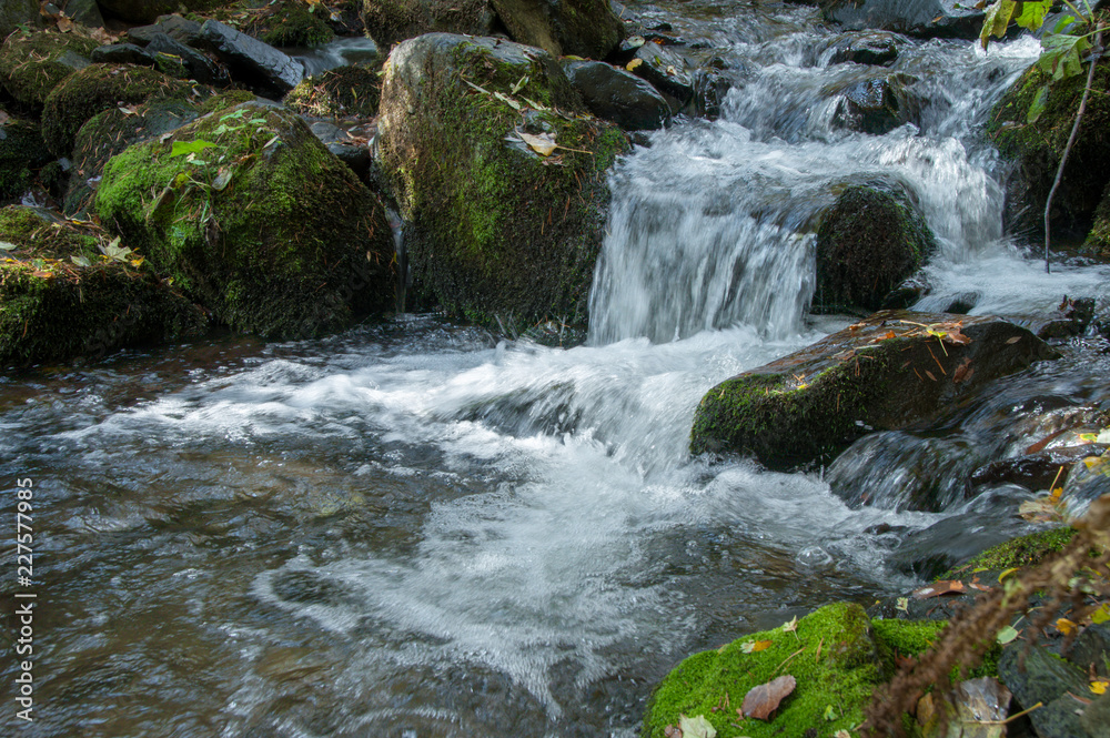 Autumn colours of river in Vitosha Autumn colours of river in Vitosha